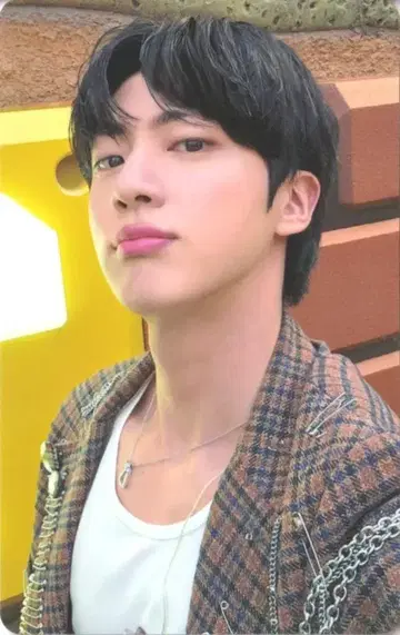 BTS WeverseJapan LD JIN ECHO