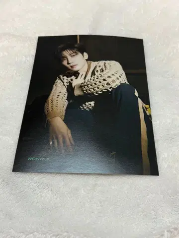 SEVENTEEN 원우 WONWOO 혼자 아냐 전단지 플라이어