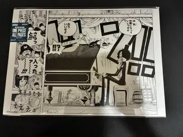 원피스 베이스 샵 올 페이지스 브룩 루피