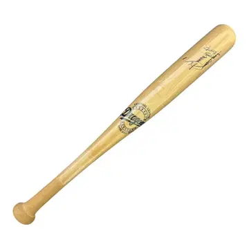 주니치 드래곤즈 후쿠도메 고스케 사인 미니 배트 (프린트)