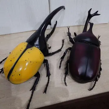 헤라클레스 장수풍뎅이 & 장수풍뎅이 거대 피규어