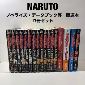 NARUTO 나루토 비전 신전 열전 코미컬라이즈 데이터북 팬북