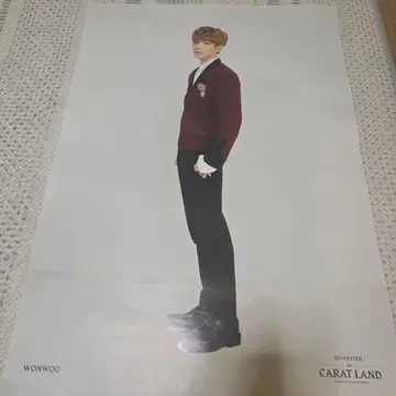 SEVENTEEN 원우 CARAT LAND 포스터