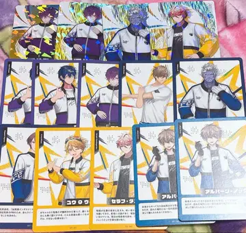 니지페스 컬렉션 카드 C