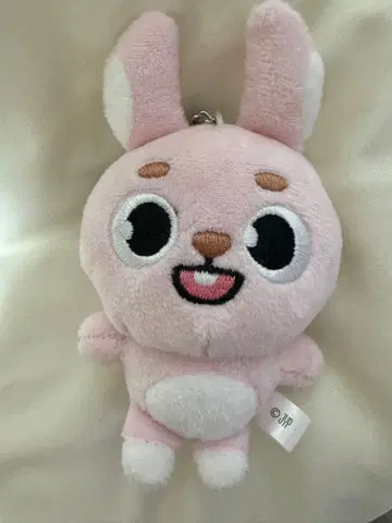 DAY6 데니멀즈 원필 백참 필