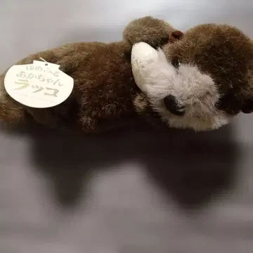 꿈꾸는 아기 랏코 봉제 인형