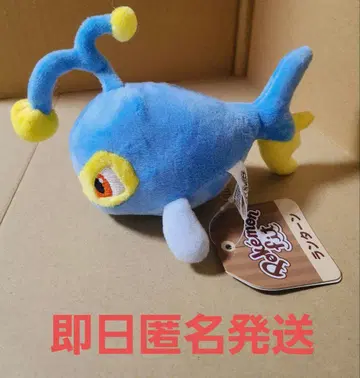[택 포함] 랜턴 포켓몬 핏