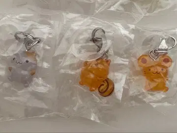 폼폼푸딩 메지루시 액세서리 베이글 머핀 스콘 가챠