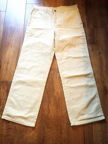 파타고니아 patagonia 남성용 31 카고 팬츠 아웃도어 팬츠