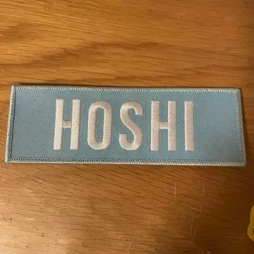 호시 네임 배지 와펜 ode to you 세븐틴