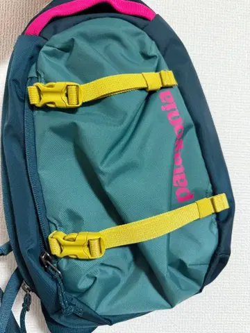 patagonia 숄더백