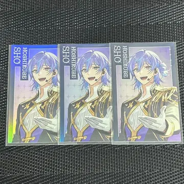 호시미치 쇼 니지산지 니지페스 CONCERTO 폴라로이드 키라키라 카드