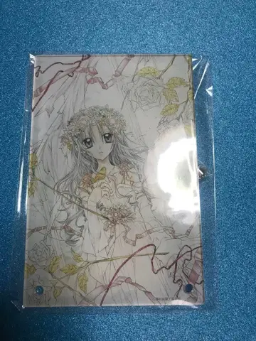 타네무라 아리나 원화전 복권 B상 아크릴 아트 패널 보름달을 찾아서