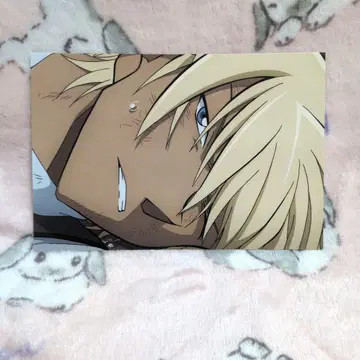 명탐정 코난 할로윈의 신부 엽서 강준영(후루야 레이) 안기준 경찰학교조