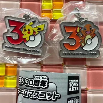 익명 배송 ] 포켓몬 30주년 메탈 참 마스코트 피카츄 리자드