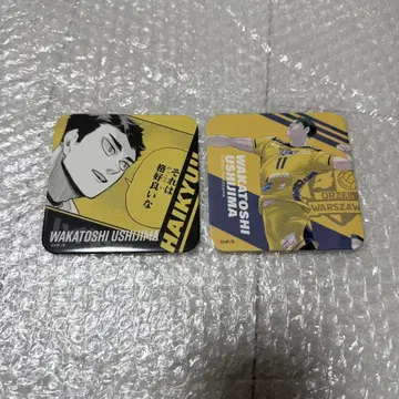 하이큐!! V리그 아트 코스터 우시지마 와카토시