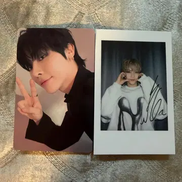 &TEAM 니콜라스 월랑 영통 중화 일직여우 3.0 폴라로이드