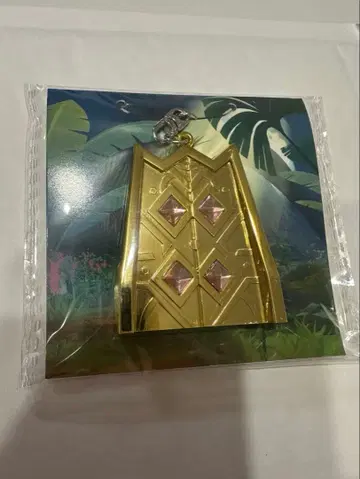 포켓몬 프렌다 황금의 문 키링1