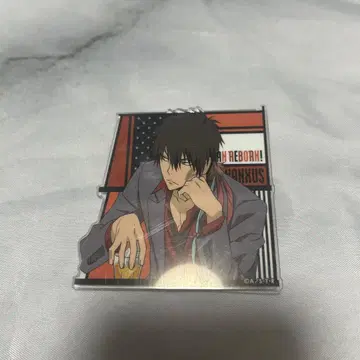 REBORN XANXUS 10년 후 아크릴 배지 2점 세트
