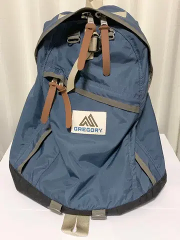 GREGORY thisisneverthat 데이팩