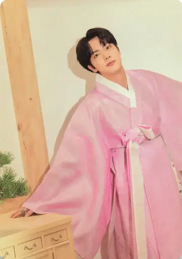 BTS JIN 2021 달마중 12/56