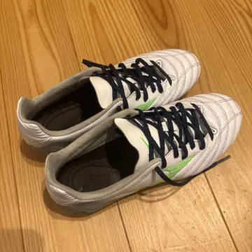 미즈노 모나르시다 네오 3 프로 22cm