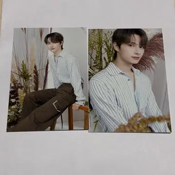 SEVENTEEN 세부치 카페 엽서 준 포스카