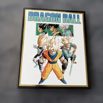 드래곤볼 40주년 카드 파일