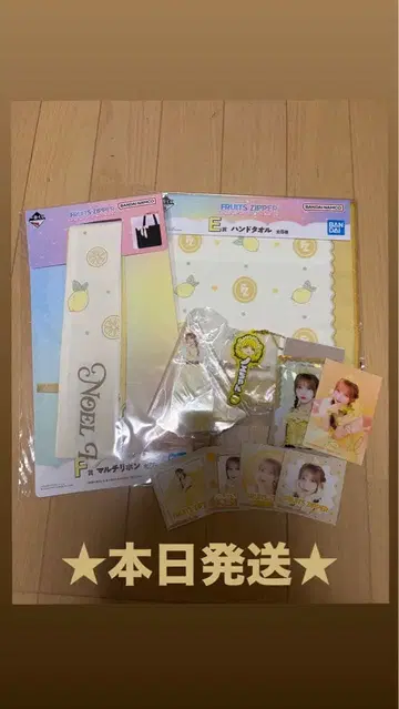 제일복권 후르츠 지퍼 하야세 노엘 묶음 판매