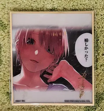 5등분의 신부 제일복권 라스트 원 클리어 색지 세트