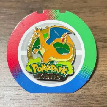 포켓파크 핀즈 리자몽