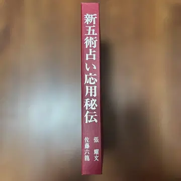 신오술 점술 응용 비전