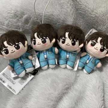 TWS 호와누이 신유 4개 세트