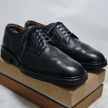 리갈 지오스 풀 브로그