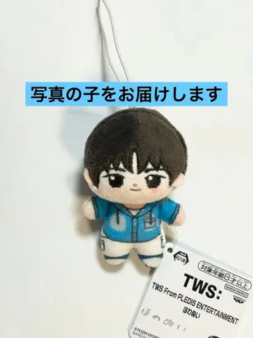 TWS FromPLEDISENTERTAINMENT 호와누이 경민 2