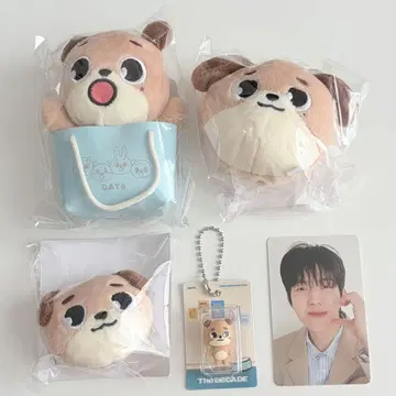 DAY6 The DECADE 백참 헤어핀 손 더운 DON