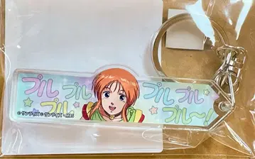 건담 EXVS 스탬프 통신풍 아크릴 키링 풀풀풀~ 엘피 풀