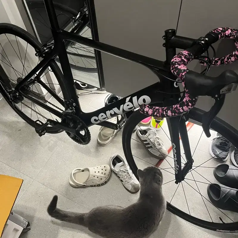 써벨로 데칼 풀카본 로드자전거 (써벨로 스티커)