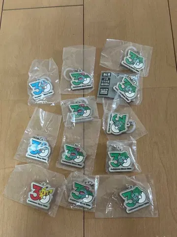 포켓몬 30주년 메탈 참