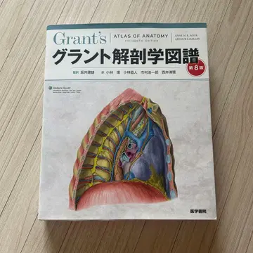 그랜트 해부학 도보