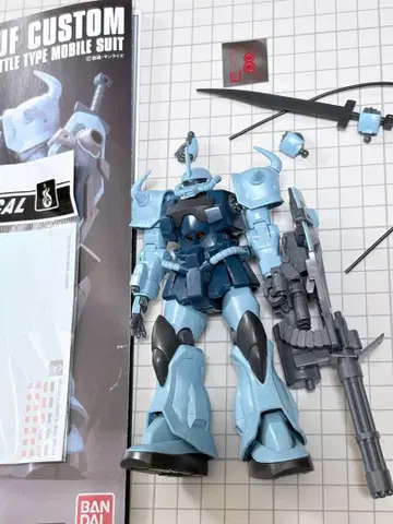 HGUC 1/144 구프 커스텀 + 물 전사 데칼
