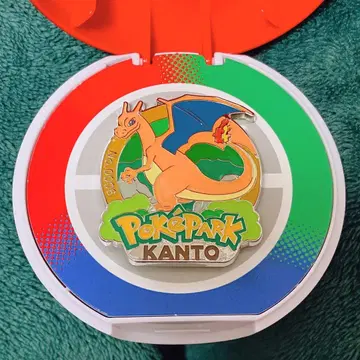 포케파크 관동 한정판 리자몽 핀즈