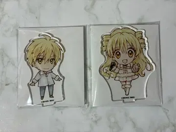 다네무라 아리나 30주년 기념전 미니 아크릴 스탠드 달빛천사 에치 풀문