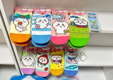 지역 한정 치이카와 양말 8세트