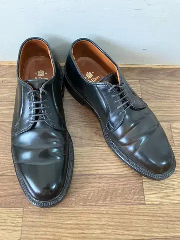 ALDEN 알든 9901 블랙 코도반 US6.5D