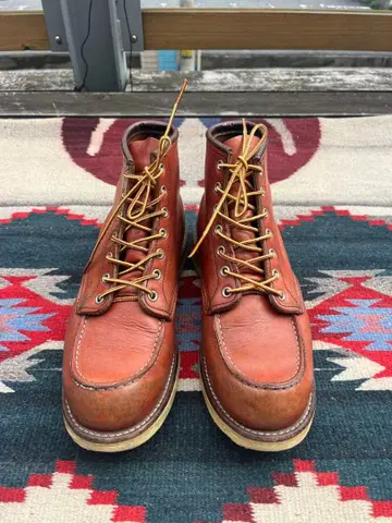 레드윙 아이리쉬 세터 8인치 8875 사이드 깃털