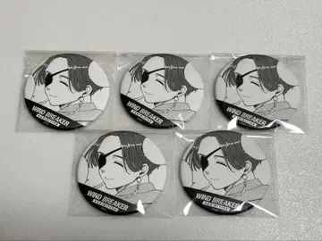 WIND BREAKER 윈브레 윈브레전 캔뱃지 소방