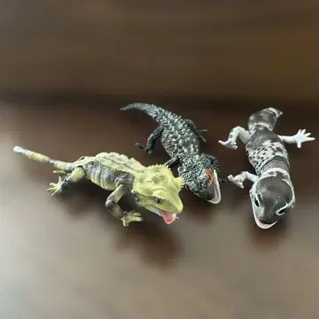 생물대도감 어드밴스 가챠 도마뱀 도마뱀 3체 세트
