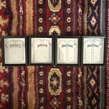 MLB 팀 저지 프레임 세트