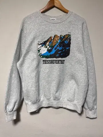 thisisneverthat 네버댓 맨투맨 그레이 마운틴 M